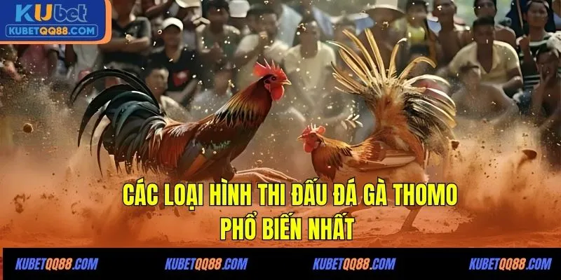Các loại hình thi đấu đá gà Thomo phổ biến nhất