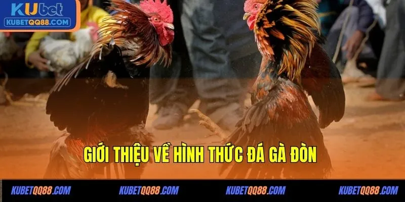 Giới thiệu về hình thức đá gà đòn