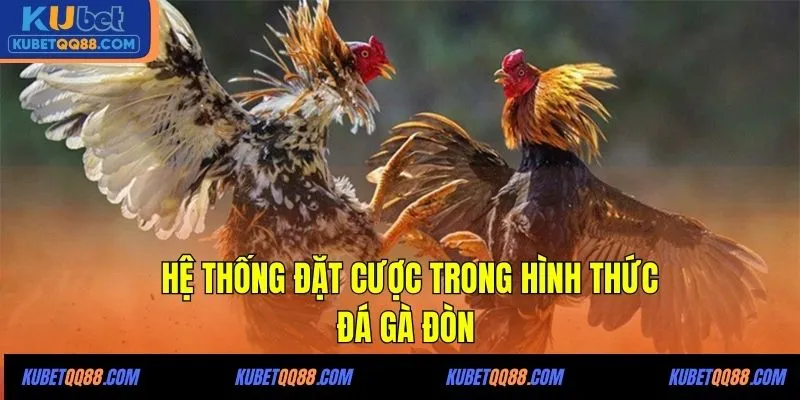 Hệ thống đặt cược trong hình thức đá gà đòn